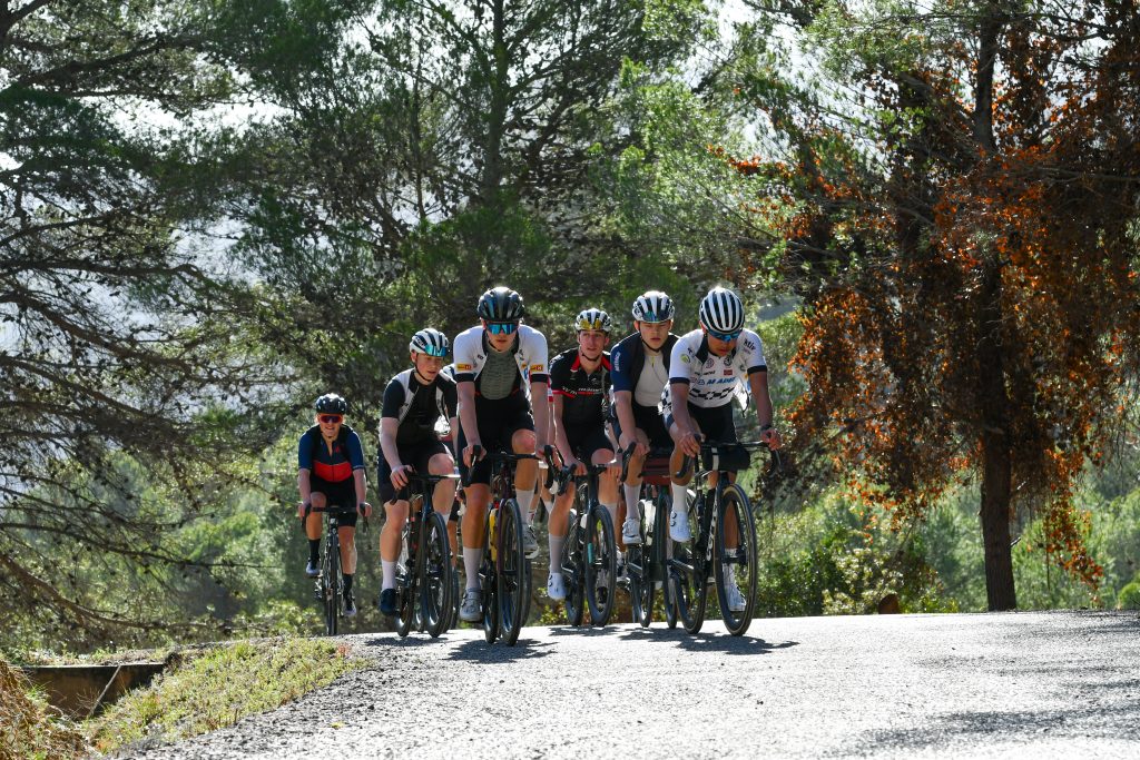 Cyclists climbing a pine-lined road in Costa Blanca